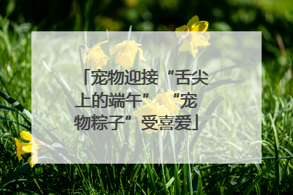 宠物迎接“舌尖上的端午” “宠物粽子”受喜爱