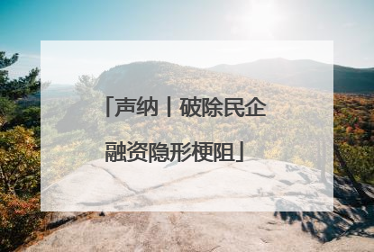 声纳丨破除民企融资隐形梗阻