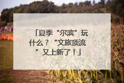 夏季“尔滨”玩什么？“文旅顶流”又上新了！