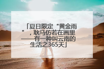 夏日限定“黄金雨”，耿马仿若在画里——有一种叫云南的生活之365天