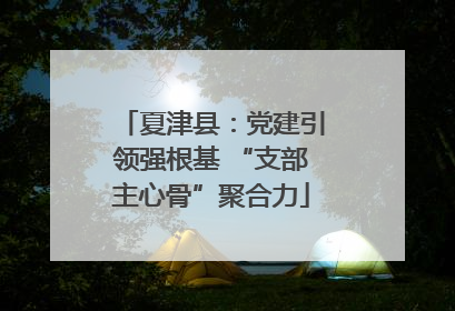 夏津县：党建引领强根基 “支部主心骨”聚合力