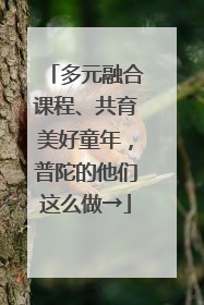多元融合课程、共育美好童年，普陀的他们这么做→