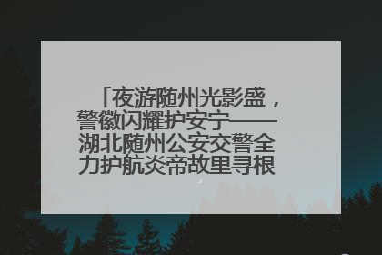 夜游随州光影盛，警徽闪耀护安宁——湖北随州公安交警全力护航炎帝故里寻根节夜游活动侧记