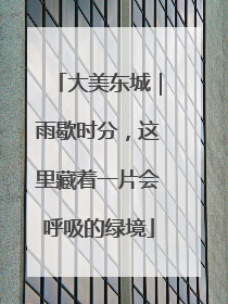 大美东城｜雨歇时分，这里藏着一片会呼吸的绿境