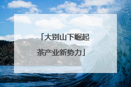 大别山下崛起茶产业新势力