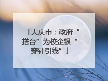 大庆市：政府“搭台”为校企银“穿针引线”
