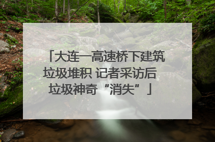 大连一高速桥下建筑垃圾堆积 记者采访后垃圾神奇“消失”