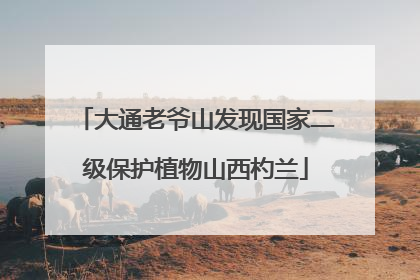 大通老爷山发现国家二级保护植物山西杓兰