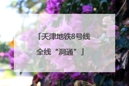 天津地铁8号线全线“洞通”