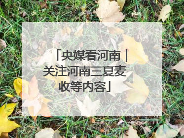 央媒看河南｜关注河南三夏麦收等内容