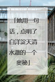 她用一句话，点明了白洋淀天清水澈的一个奥秘
