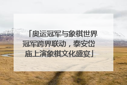 奥运冠军与象棋世界冠军跨界联动，泰安岱庙上演象棋文化盛宴