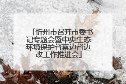 忻州市召开市委书记专题会暨中央生态环境保护督察边督边改工作推进会