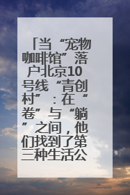 当“宠物咖啡馆”落户北京10号线“青创村”：在“卷”与“躺”之间，他们找到了第三种生活公式