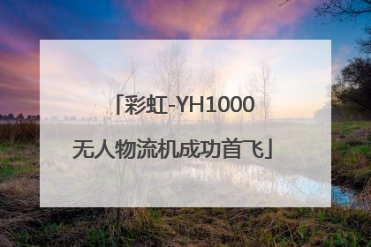 彩虹-YH1000无人物流机成功首飞