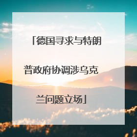 德国寻求与特朗普政府协调涉乌克兰问题立场