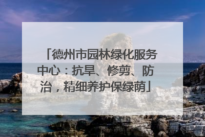 德州市园林绿化服务中心：抗旱、修剪、防治，精细养护保绿荫