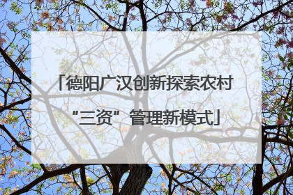 德阳广汉创新探索农村“三资”管理新模式