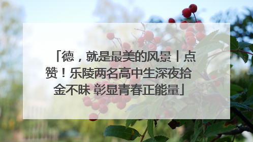 德，就是最美的风景丨点赞！乐陵两名高中生深夜拾金不昧 彰显青春正能量