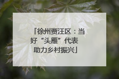 徐州贾汪区：当好“头雁”代表 助力乡村振兴