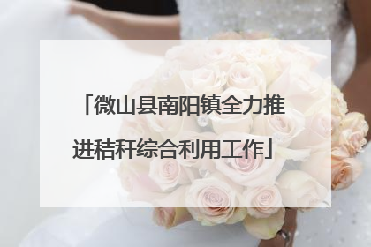 微山县南阳镇全力推进秸秆综合利用工作