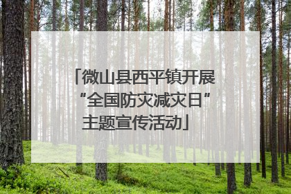 微山县西平镇开展“全国防灾减灾日”主题宣传活动