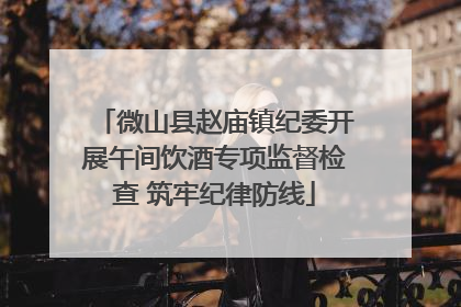微山县赵庙镇纪委开展午间饮酒专项监督检查 筑牢纪律防线