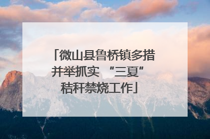 微山县鲁桥镇多措并举抓实 “三夏” 秸秆禁烧工作