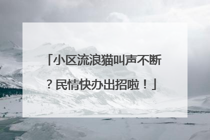 小区流浪猫叫声不断？民情快办出招啦！