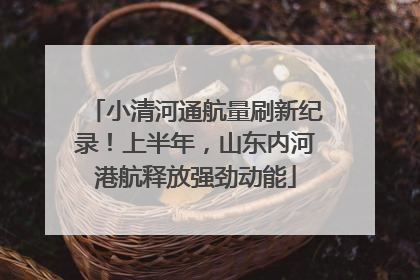 小清河通航量刷新纪录！上半年，山东内河港航释放强劲动能