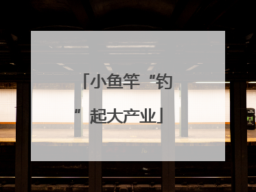 小鱼竿“钓”起大产业