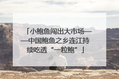 小鲍鱼闯出大市场——中国鲍鱼之乡连江持续吃透“一粒鲍”