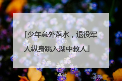 少年意外落水，退役军人纵身跳入湖中救人