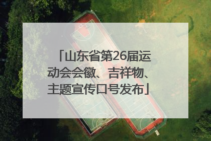 山东省第26届运动会会徽、吉祥物、主题宣传口号发布