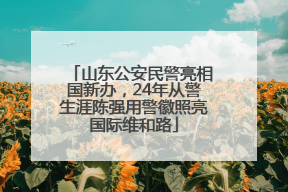山东公安民警亮相国新办，24年从警生涯陈强用警徽照亮国际维和路