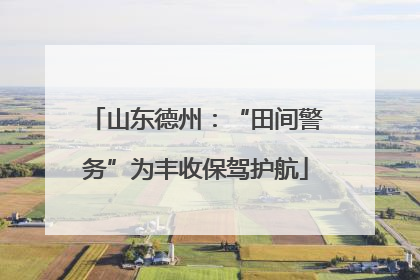山东德州：“田间警务”为丰收保驾护航