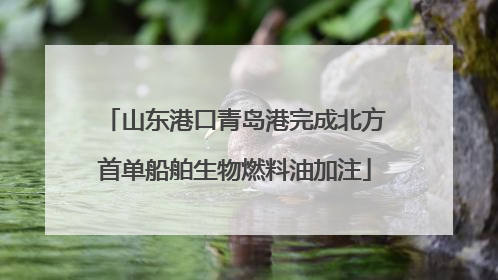 山东港口青岛港完成北方首单船舶生物燃料油加注