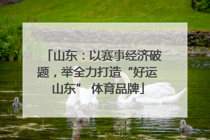 山东：以赛事经济破题，举全力打造“好运山东” 体育品牌