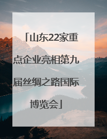 山东22家重点企业亮相第九届丝绸之路国际博览会
