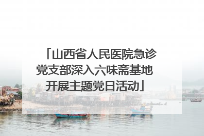 山西省人民医院急诊党支部深入六味斋基地开展主题党日活动