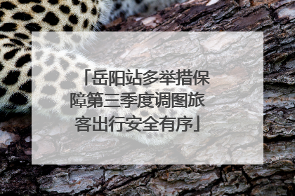 岳阳站多举措保障第三季度调图旅客出行安全有序