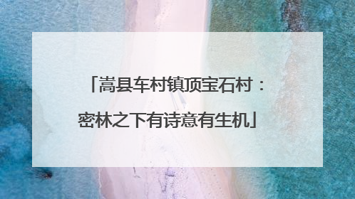 嵩县车村镇顶宝石村：密林之下有诗意有生机
