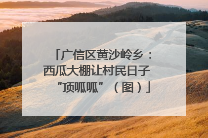 广信区黄沙岭乡：西瓜大棚让村民日子“顶呱呱”（图）