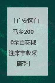 广安区白马乡2000余亩花椒迎来丰收采摘季
