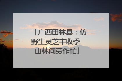 广西田林县：仿野生灵芝丰收季 山林间劳作忙