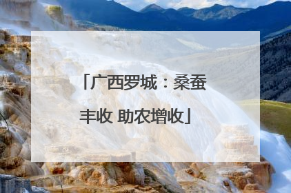 广西罗城：桑蚕丰收 助农增收