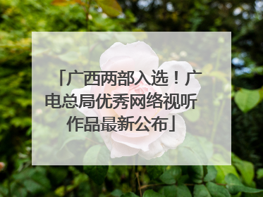 广西两部入选！广电总局优秀网络视听作品最新公布