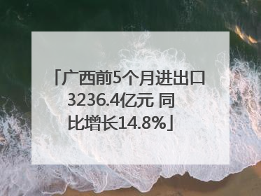 广西前5个月进出口3236.4亿元 同比增长14.8%