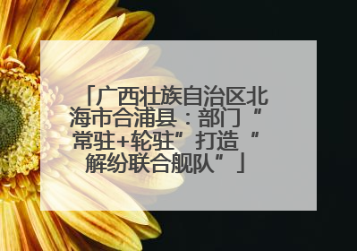 广西壮族自治区北海市合浦县：部门“常驻+轮驻”打造“解纷联合舰队”