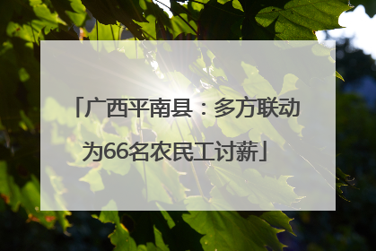 广西平南县：多方联动为66名农民工讨薪